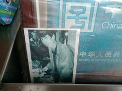 -叶氏麻糍(鼓浪屿店)