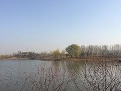 -东郊湿地公园