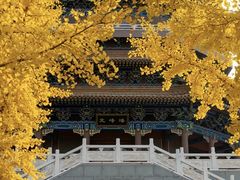 -金城公园