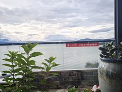 -野菌皇海景野生菌火锅(滨海大道店)