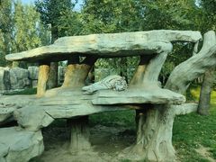 -北京野生动物园