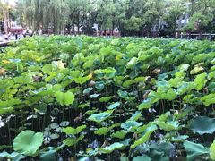 -四川大学(望江校区)