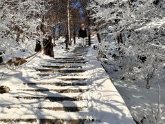 -崂山巨峰游览区