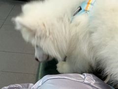 -联合动物医院(光谷诊疗中心)