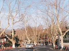 -北山街历史文化街区