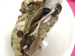 -蠔园山庄(礼乐食街店)