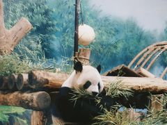 -杭州动物园