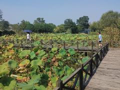 -梁鸿国家湿地公园