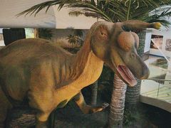 -烟台自然博物馆