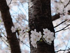 -龙美术馆(西岸馆)