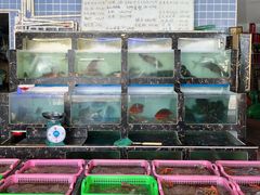 -众味海鲜大排档·活海鲜·潮汕味(南澳店)