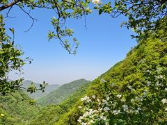 -抱龙峪