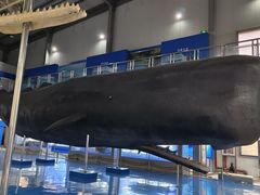 -上海海洋大学鱼文化博物馆(军工路校区)