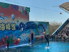 -北戴河圣蓝海洋公园