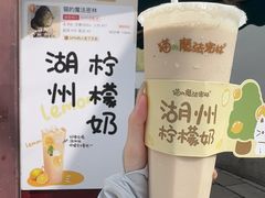 -猫的魔法密林(衣裳街店)