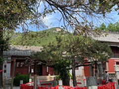 -泰山风景名胜区-普照寺