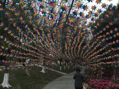 -松山湖梦幻百花洲