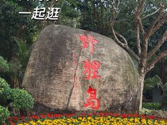 -野狸岛