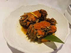 海派熟醉蟹-南麓·浙里(外滩店)