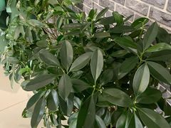 -熊叔熊婶面包房(团结湖店)