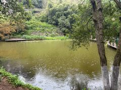 -莫干山风景区