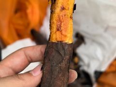 -西部长青自然儿童乐园