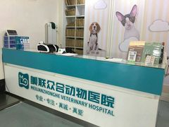 -美联众合爱康动物医院•复杂内科•肿瘤科•牙科•腔镜诊疗中心