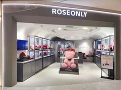 -ROSEONLY诺誓(广州K11店)