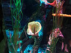 -沈阳海洋探索中心