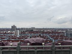 -上海东林寺(金山区)