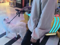 -阿尔法Game Station(中山路店)