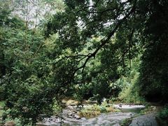 -广州市石门国家森林公园