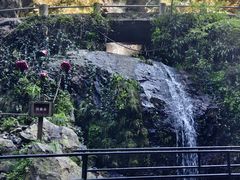 -夏霖九天银瀑风景区