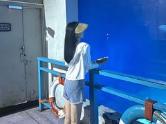 -大连圣亚海洋世界