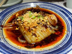 -雲蜀龙阁·金牌水煮鱼(方庄店)