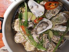 -千岛蚝高压锅生蚝·人参火锅(白云万达店)