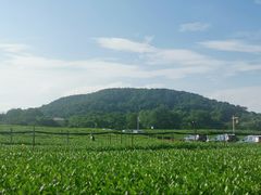 -中国茶叶博物馆(双峰馆区)