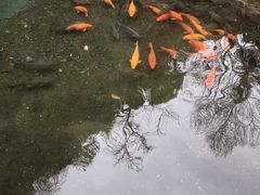 -途中饭店(开化店)