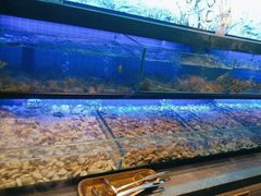 -透明思烤·自助烤肉海鲜火锅(东部星悦天地店)