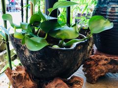 -三峡古玩城(泰古广场店)