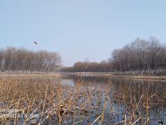 -东郊湿地公园