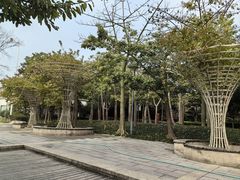 -光明港公园