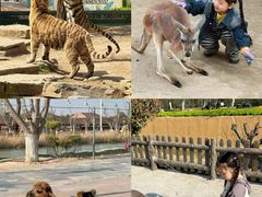 -泉城欧乐堡梦幻世界