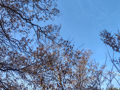 -终南山南五台景区