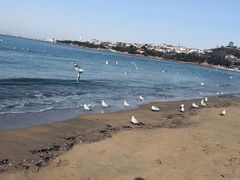 -青岛第一海水浴场