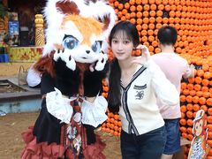 -灵玲国际马戏城
