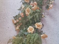 -不是烧烤·武汉烧烤·地道湖北菜(大成路店)