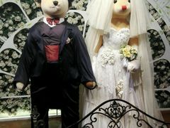 -济州岛泰迪熊博物馆