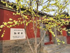 -红螺寺