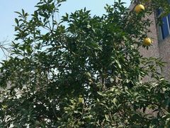 -丝绸小镇荻港古村